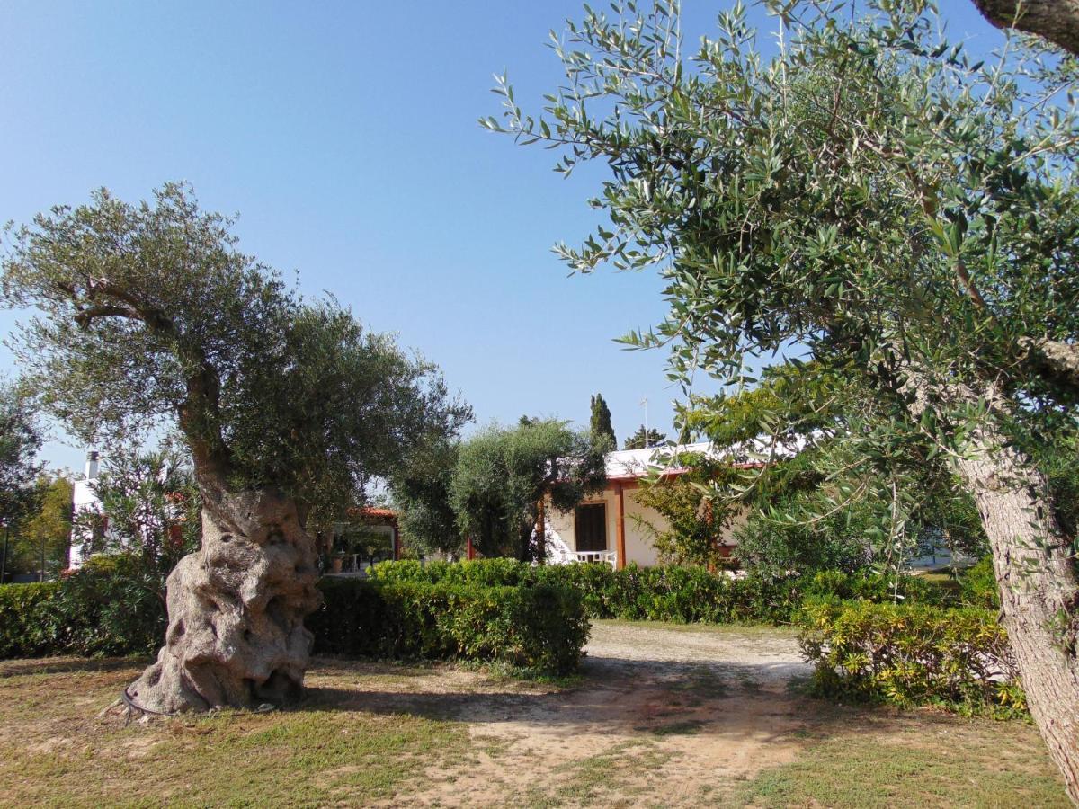 Agriturismo Villa Tommaso Торе дел'Орсо Екстериор снимка