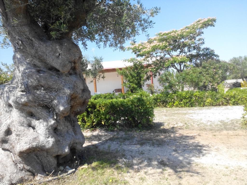 Agriturismo Villa Tommaso Торе дел'Орсо Екстериор снимка