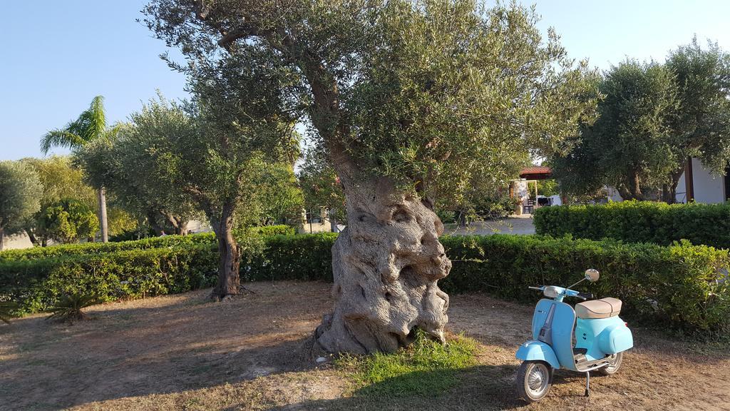 Agriturismo Villa Tommaso Торе дел'Орсо Екстериор снимка
