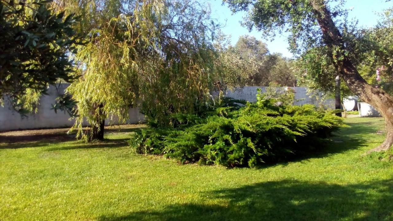 Agriturismo Villa Tommaso Торе дел'Орсо Екстериор снимка